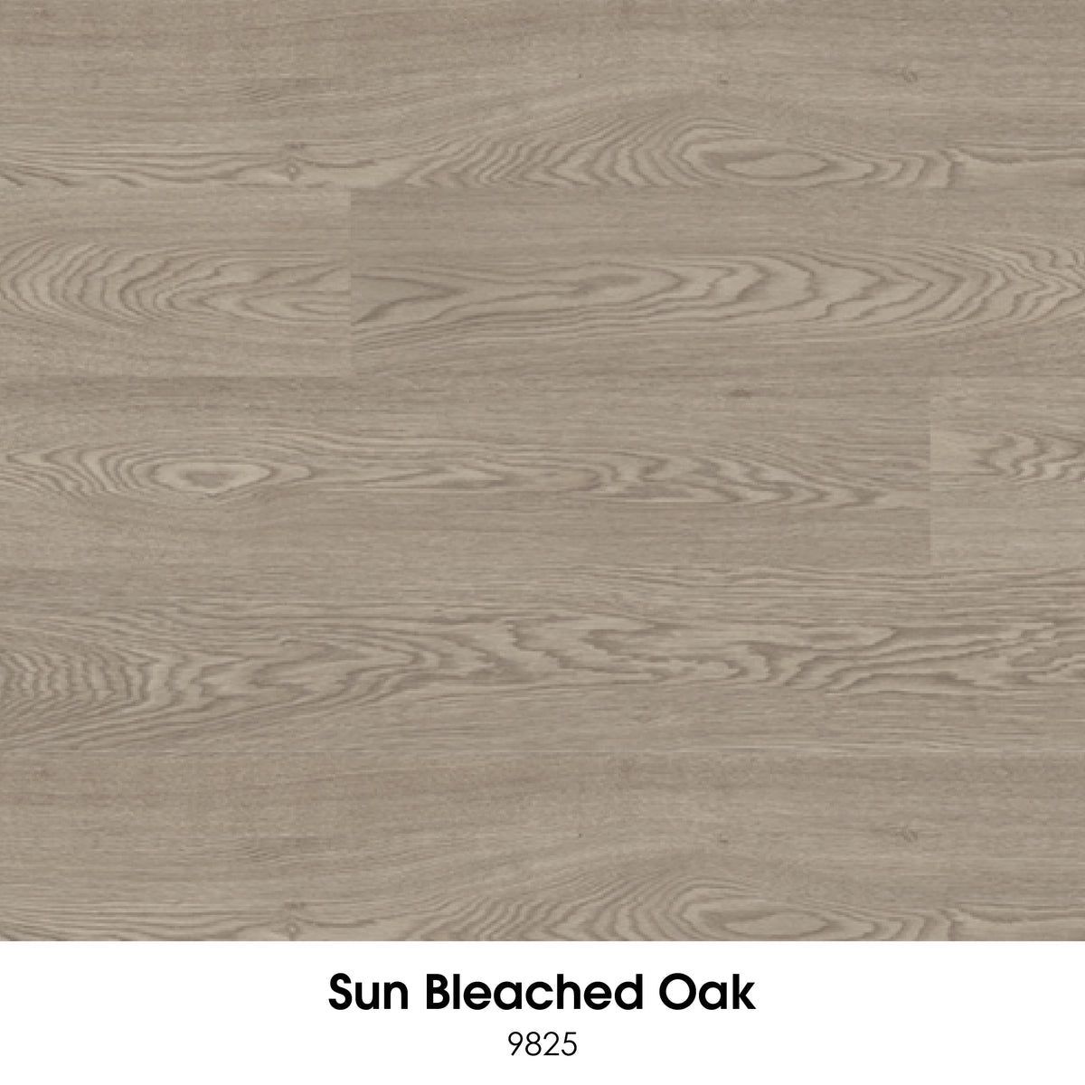 Ecore Forest RX Flooring (7mm)