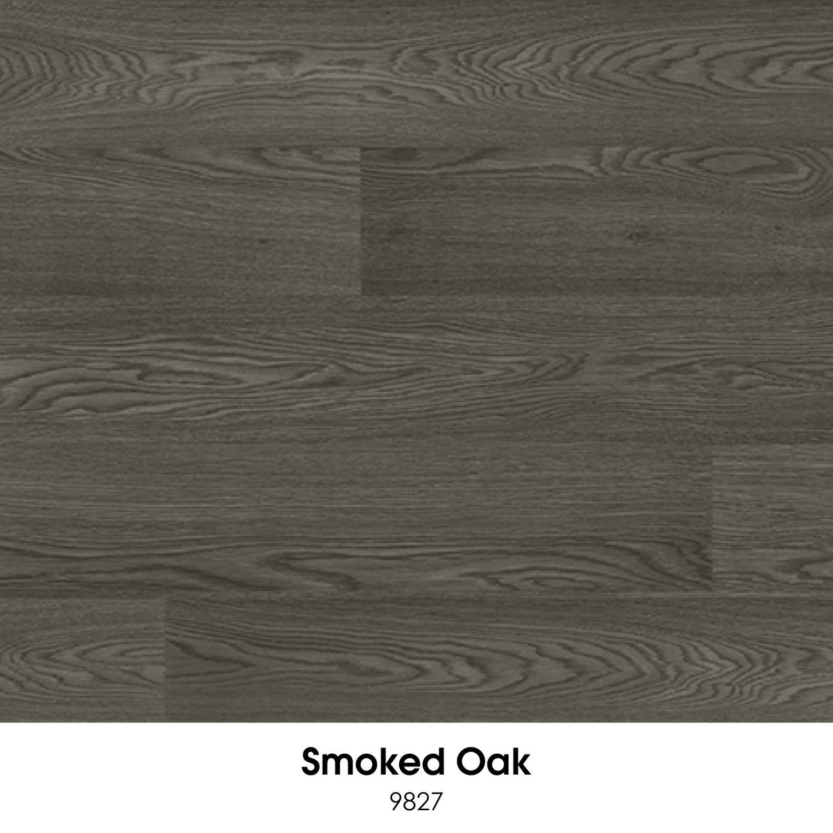 Ecore Forest RX Flooring (7mm)