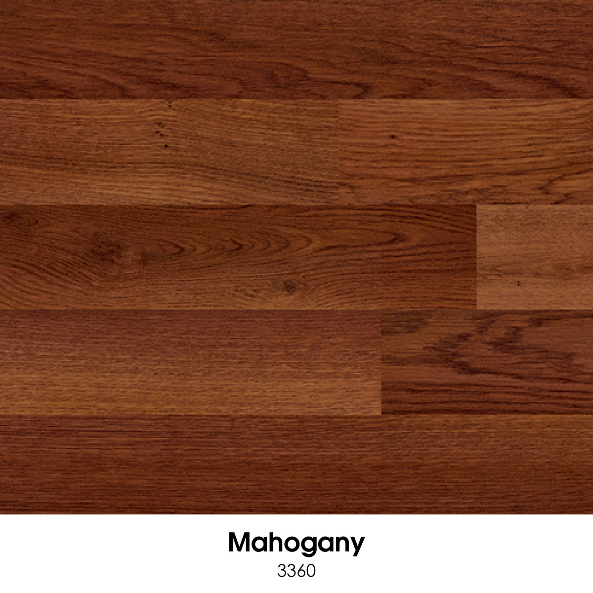 Ecore Forest RX Flooring (7mm)