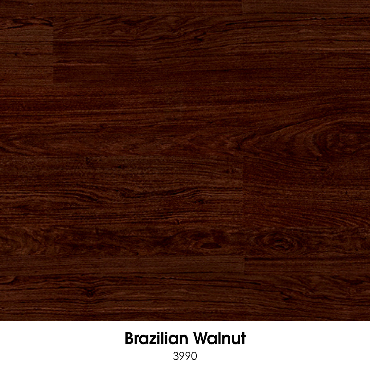 Ecore Forest RX Flooring (7mm)