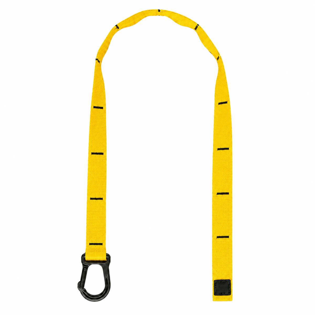 TRX Suspension Anchor with Carabiner