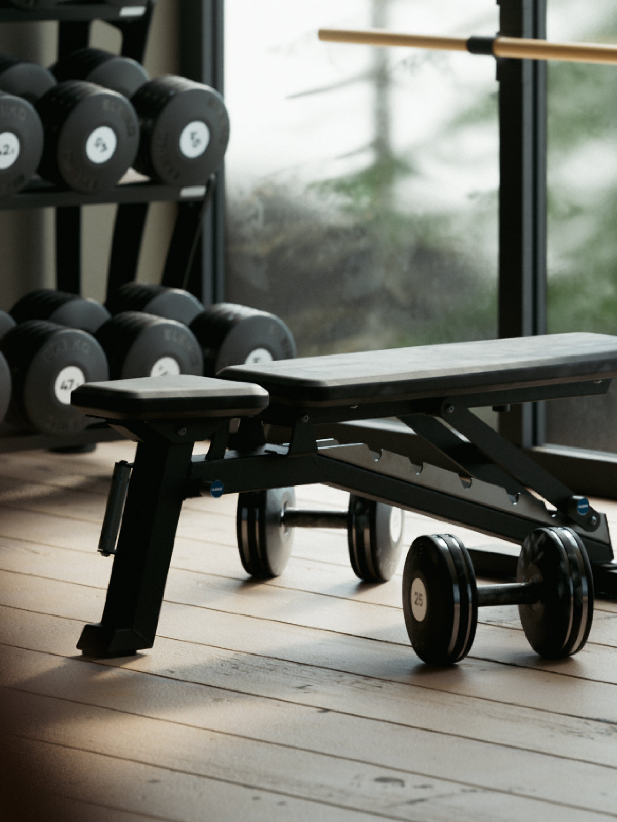 F1Recreation