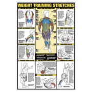 F1 Recreation Gym Wall Chart Poster - Weight Training Stretches (NFC10B)
