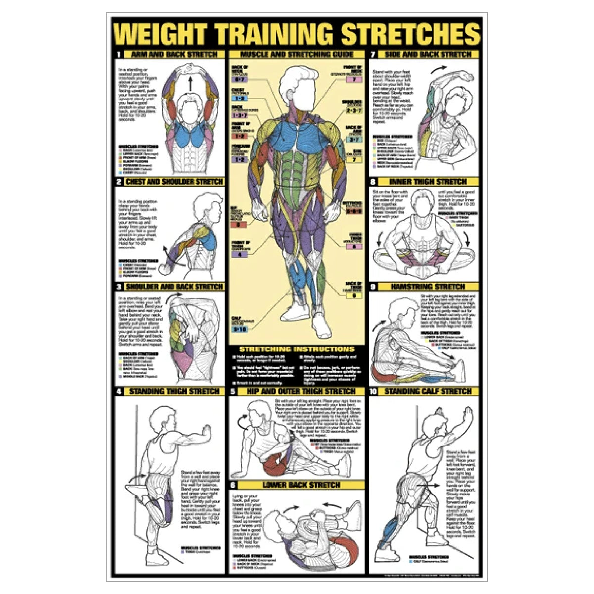 F1 Recreation Gym Wall Chart Poster - Weight Training Stretches (NFC10B)