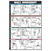 F1 Recreation Gym Wall Chart Poster - Ball Workout - Chest, Biceps, Triceps & Forearm (CEF10B)