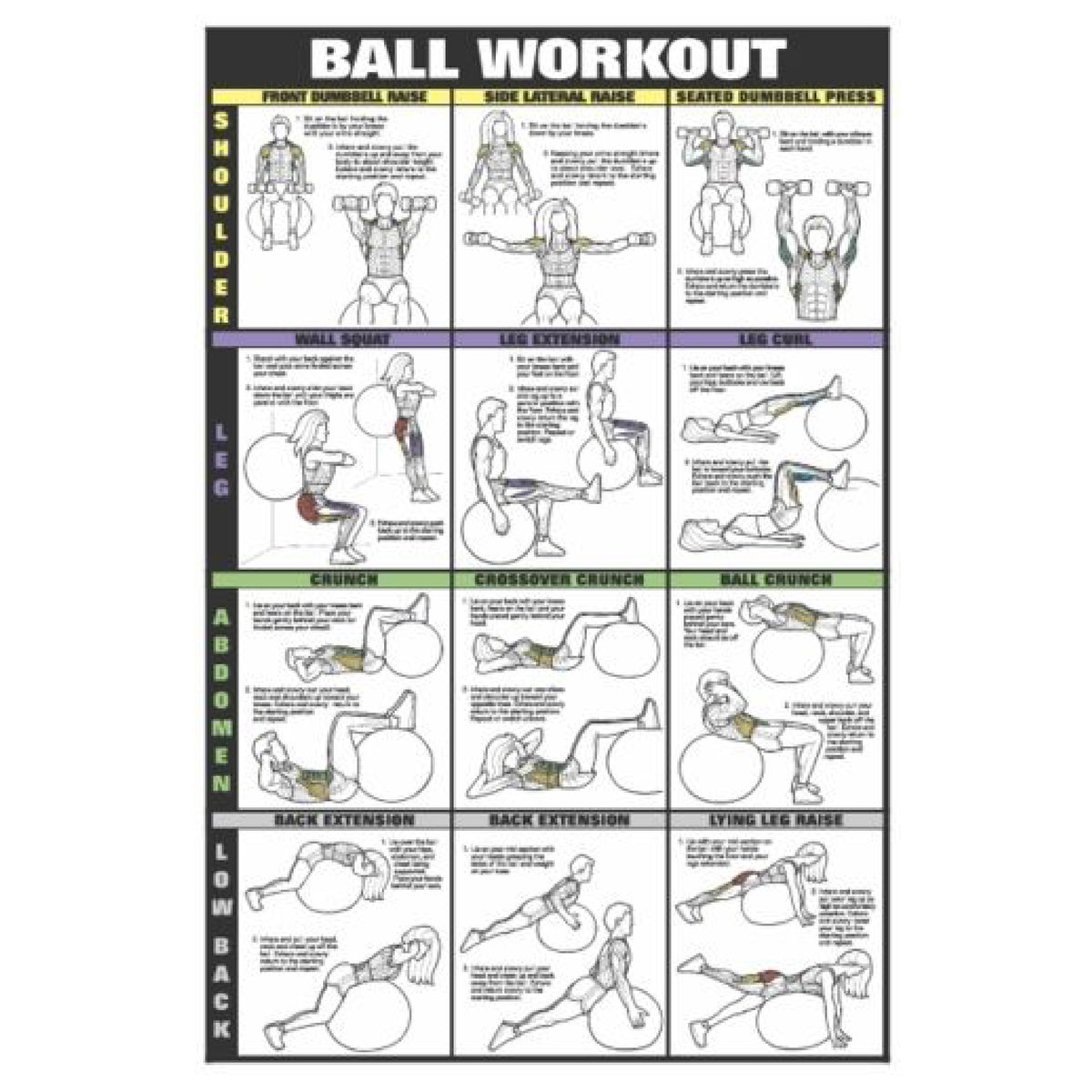 F1 Recreation Gym Wall Chart Poster - Ball Workout | Shoulder, Back, Leg & Calf (CEF11B)