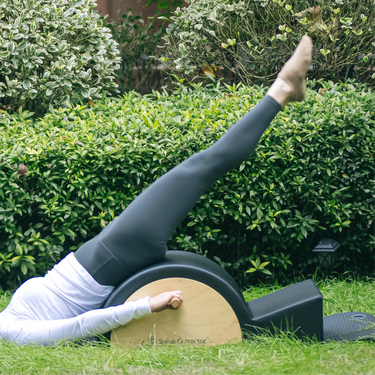 Merrithew Spine Corrector