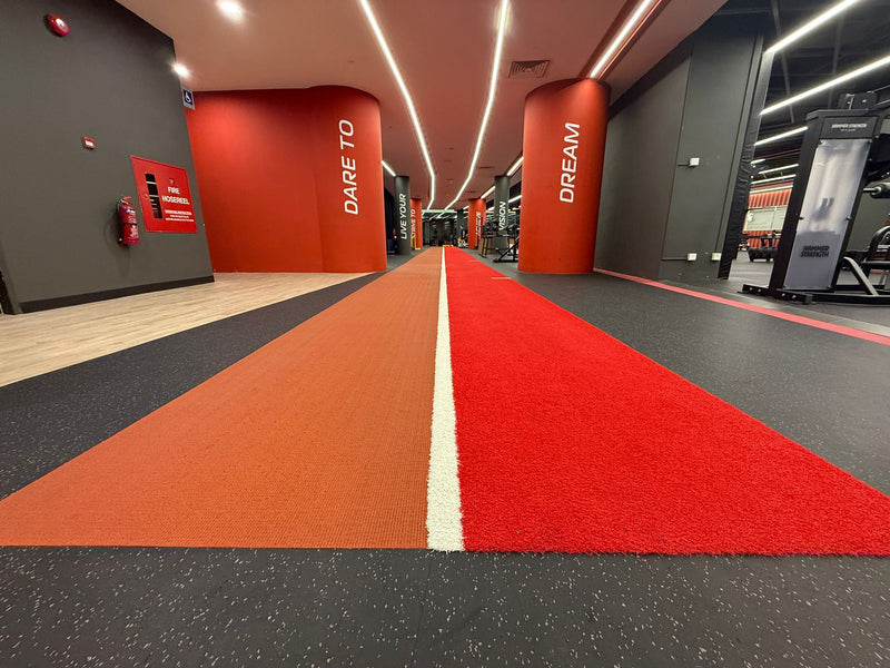 Singapore Sports Institute (SSI)