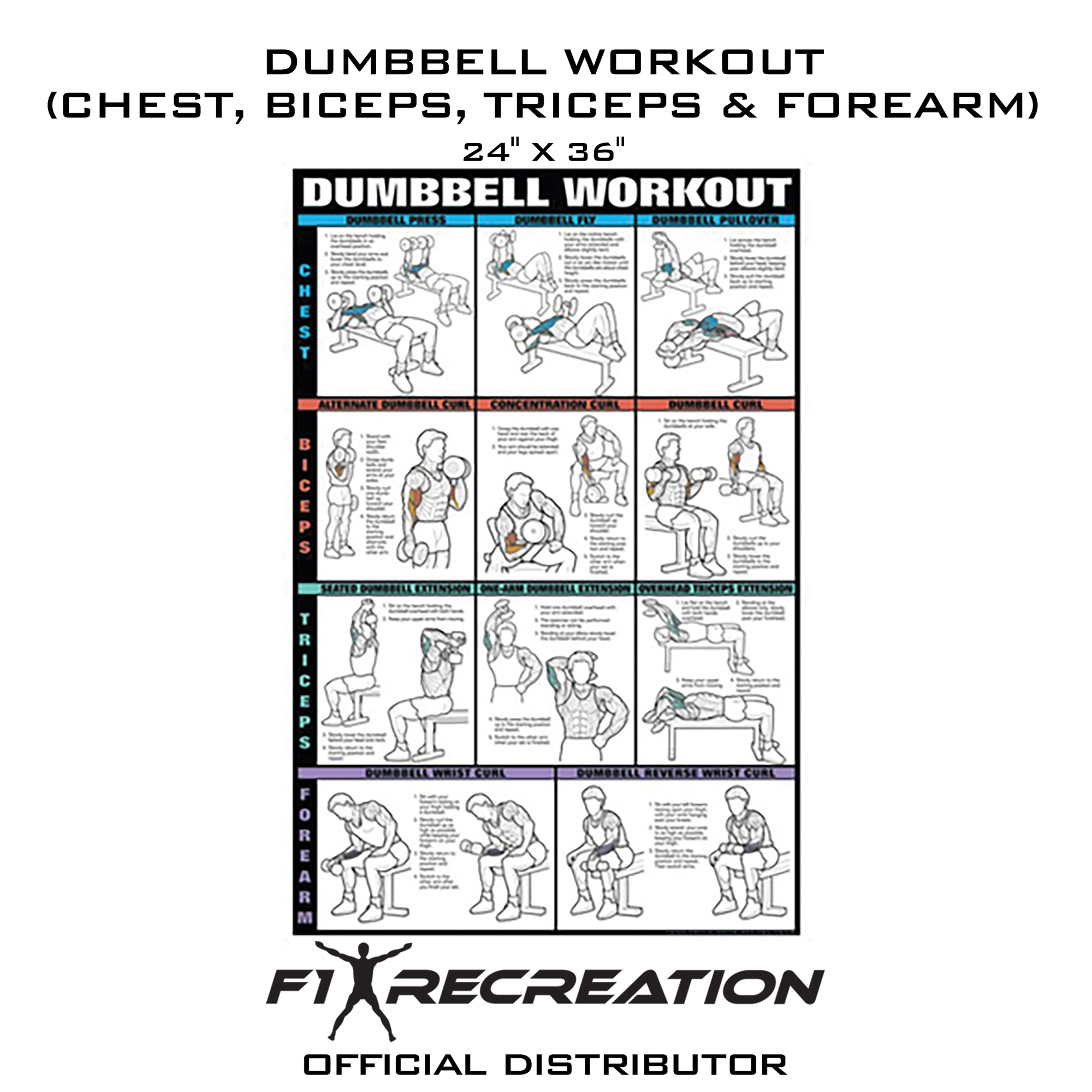 F1 Recreation Original Dumbbell Workout Poster (Chest, Biceps, Triceps ...