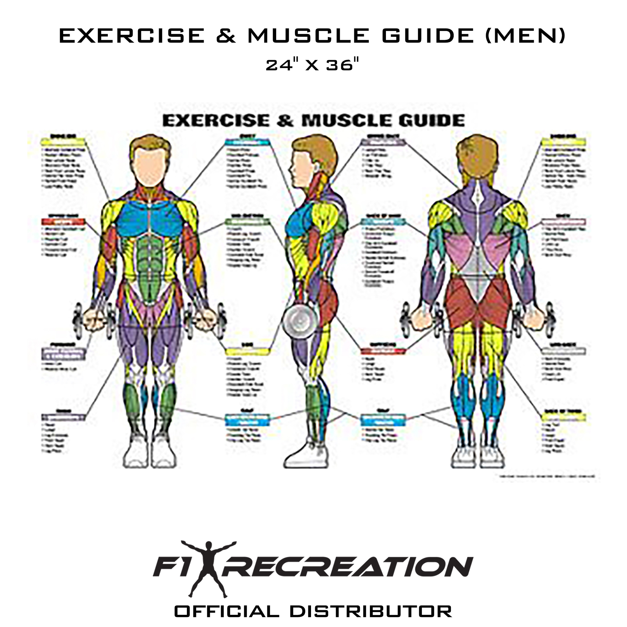 F1 Recreation Original Exercise & Muscle Guide Fitness Chart (Men) NFC1