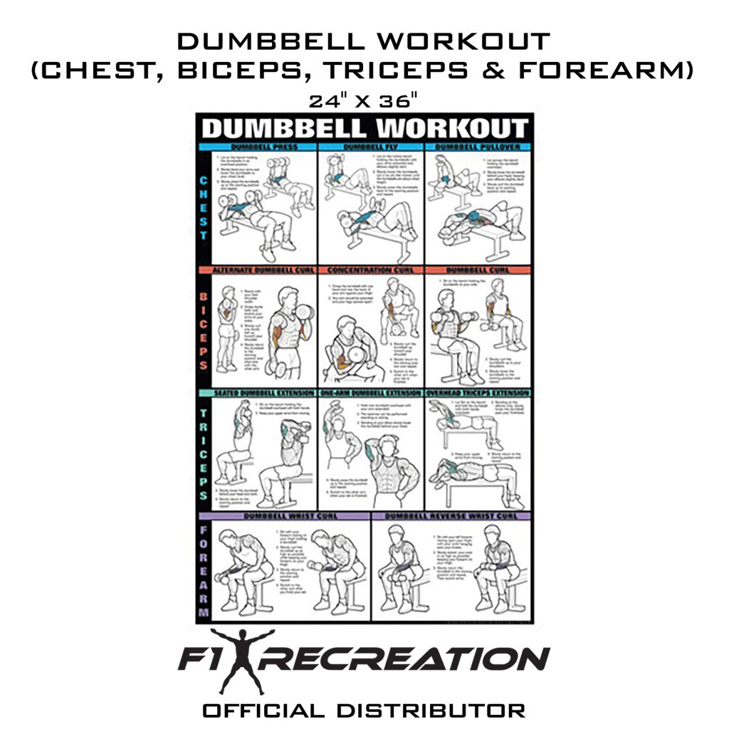 F1 Recreation Original Ball Workout Poster (Chest, Biceps, Triceps ...