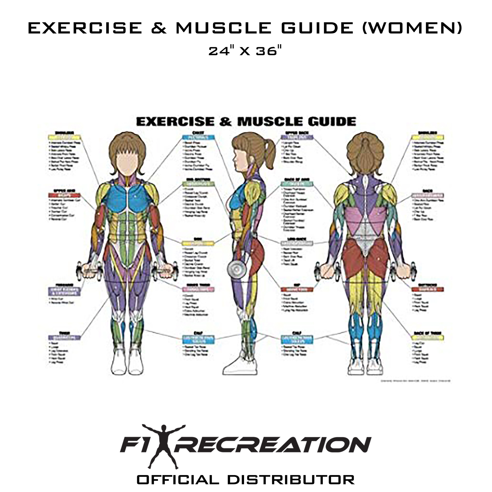 F1 Recreation Original Exercise And Muscle Guide Fitness Chart Women