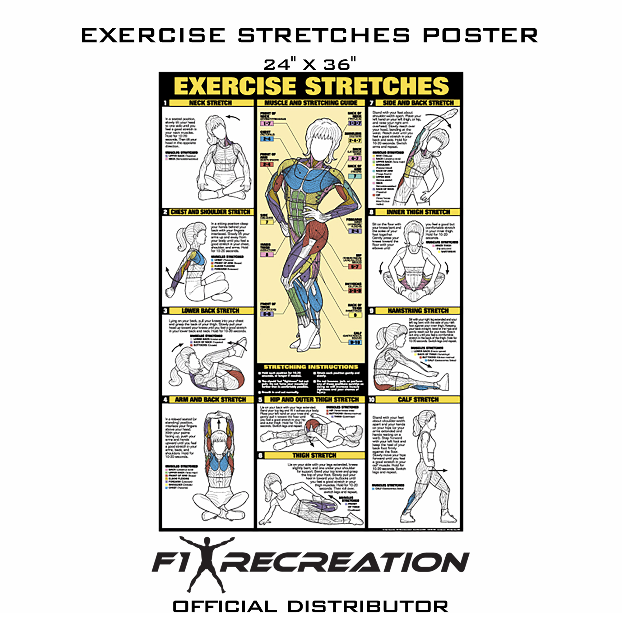 F1 Recreation Original Exercise & Muscle Guide Fitness Chart (Men) NFC1 ...