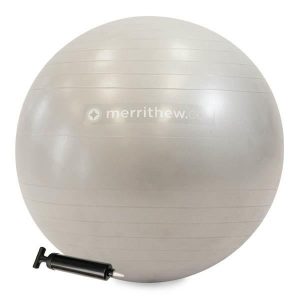 [Demo Unit] Merrithew Stability Ball - 65cm (Silver)